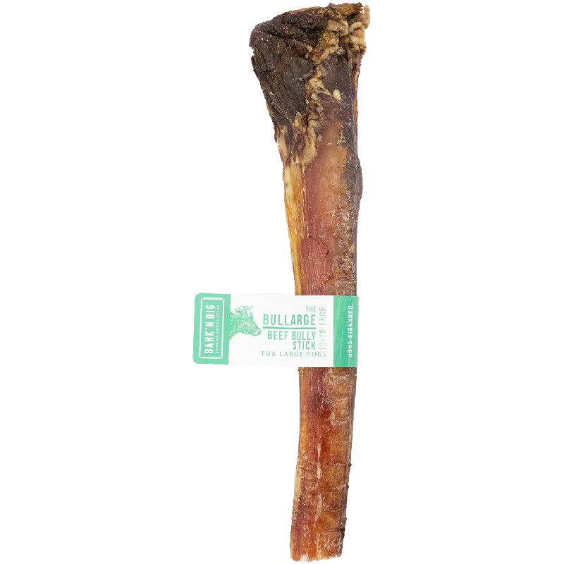 BarkNBig USA Odor Free Bullarge Super Thick Beef Bully Stick Dog Treat, 11-13in