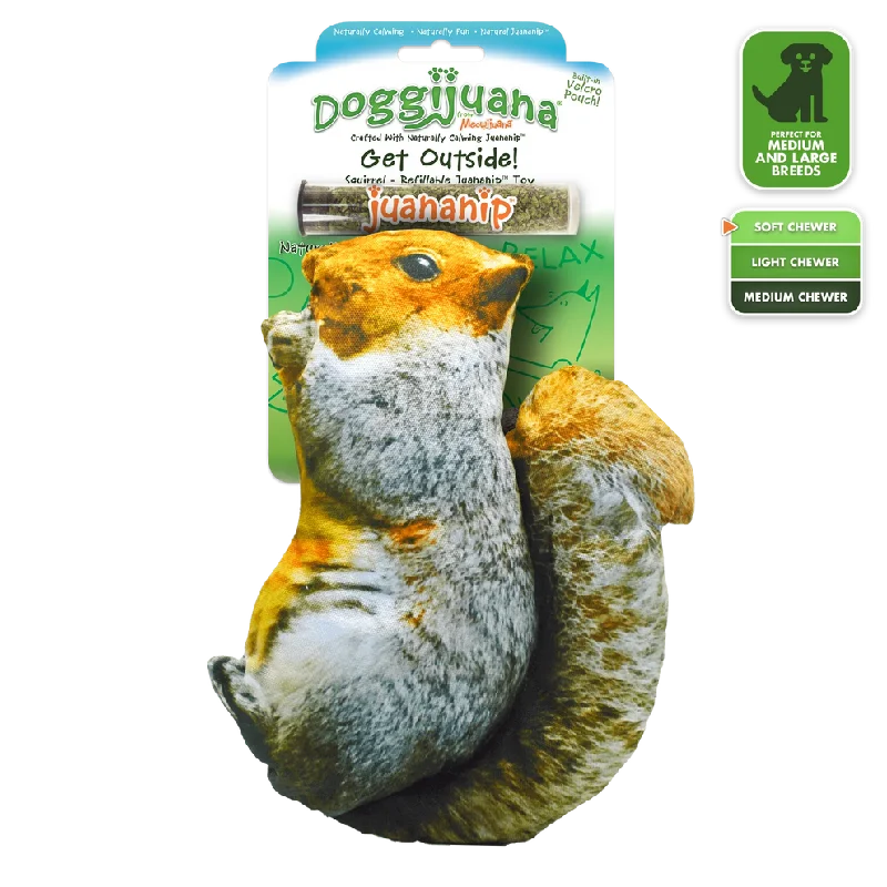 Doggijuana Get Outside Refillable Squirrel Toy