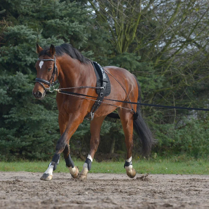 Mackey Lunging System