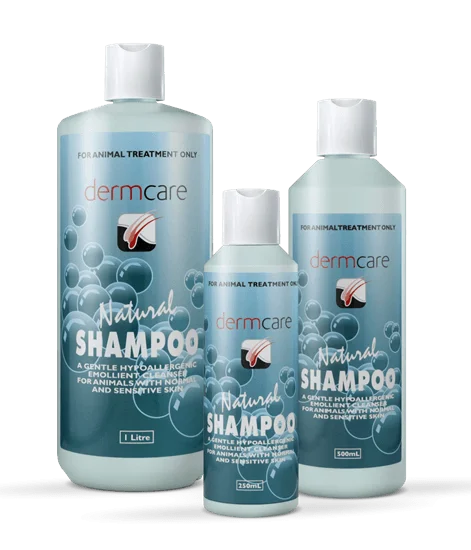 Dermcare – Natural Shampoo