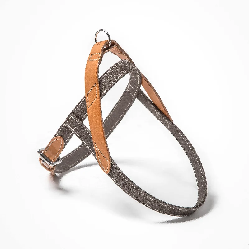 Harness Tivoli