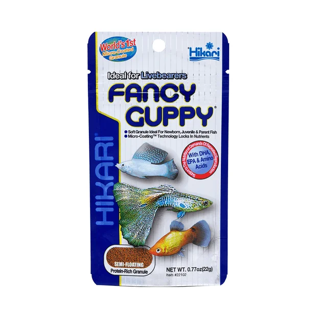 Hikari – Fancy Guppy