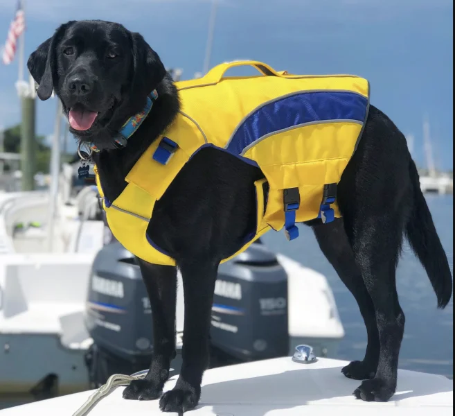 BayDog Classic Monterey Bay Life Jacket